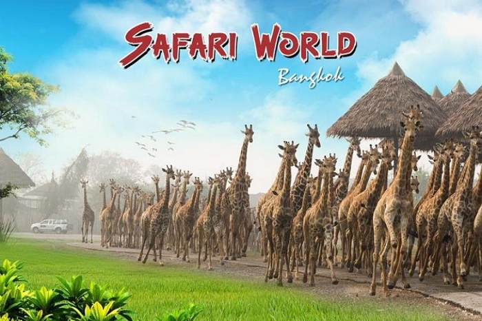 Vườn thú Safari World
